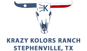 Krazy Kolors Logo